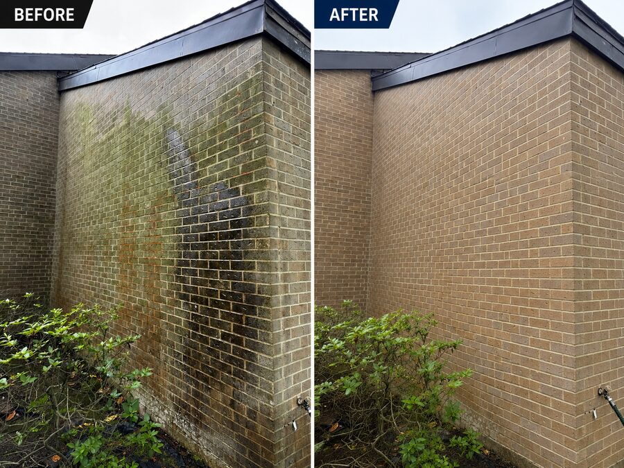 Brick wall algae removal and pressure washing before and after